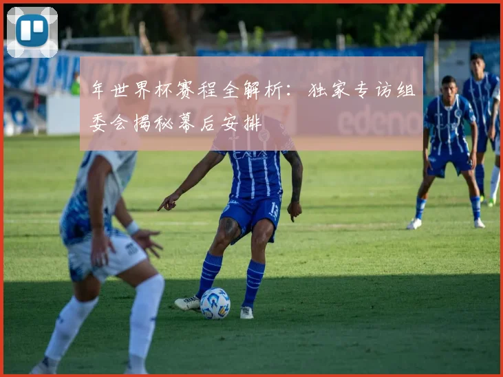 年世界杯赛程全解析：独家专访组委会揭秘幕后安排