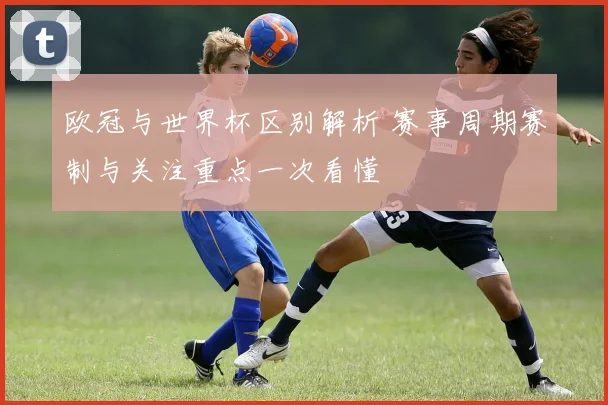 欧冠与世界杯区别解析 赛事周期赛制与关注重点一次看懂