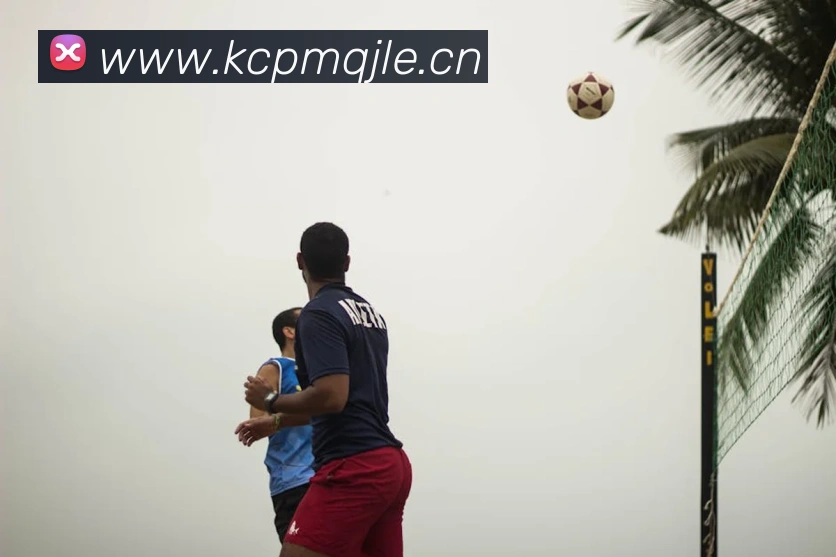 多媒体互动体验